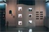 Wavy Wall - Tiaras/Terracotta Exhibition